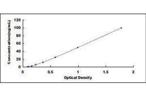 ELISA image for Complement Component 1, Q Subcomponent, A Chain (C1QA) ELISA Kit (ABIN433491)