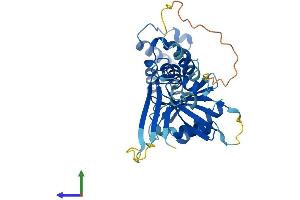 AlphaFold protein structure predicition of Human Recombinant CENPN Protein, UniprotID Q96H22