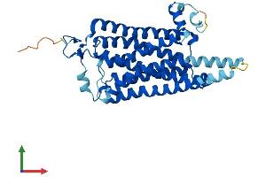 AlphaFold protein structure predicition of Human Recombinant TAAR6 Protein, UniprotID Q96RI8