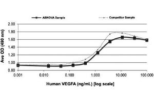 Serial dilutions of human VEGFA (starting at 100 ng/mL) were added to HUVEC cells cultured without EGF. (VEGFA Protéine)