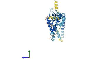 AlphaFold protein structure predicition of Human Recombinant PEX2 Protein, UniprotID P28328