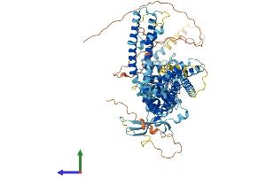 AlphaFold protein structure predicition of Mouse Recombinant Trpv3 Protein, UniprotID Q8K424