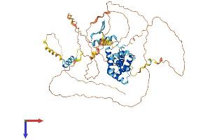 AlphaFold protein structure predicition of Mouse Recombinant Cables1 Protein, UniprotID Q9ESJ1