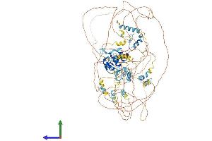 AlphaFold protein structure predicition of Mouse Recombinant Tshz2 Protein, UniprotID Q68FE9