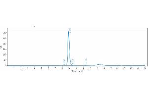 anti-IGF1R (Teprotumumab Biosimilar) antibody