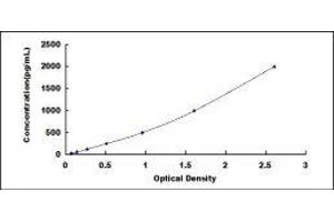 ELISA image for Leptin (LEP) ELISA Kit (ABIN414108)