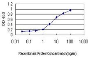 Detection limit for recombinant GST tagged SMAD5 is approximately 0. (SMAD5 anticorps  (AA 105-182))