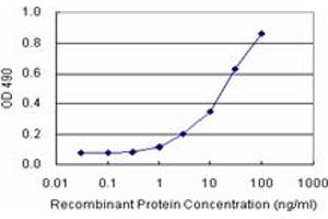 FASN (Human) Matched Antibody Pair