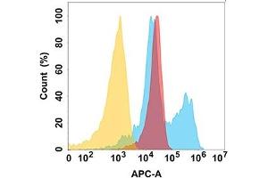 B7H6 protein is highly expressed on the surface of Expi293 cell membrane.