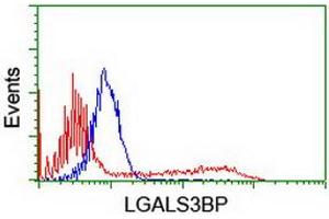 HEK293T cells transfected with either RC204918 overexpress plasmid (Red) or empty vector control plasmid (Blue) were immunostained by anti-LGALS3BP antibody (ABIN2454973), and then analyzed by flow cytometry. (LGALS3BP anticorps  (AA 19-300))