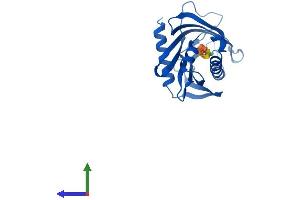 AlphaFold protein structure predicition of Mouse Recombinant Stard6 Protein, UniprotID P59096
