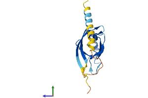 AlphaFold protein structure predicition of Mouse Recombinant Synj2bp Protein, UniprotID Q9D6K5