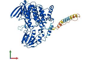 AlphaFold protein structure predicition of Mouse Recombinant Fmo4 Protein, UniprotID Q8VHG0
