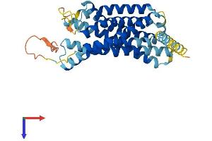 AlphaFold protein structure predicition of Human Recombinant P2RY10 Protein, UniprotID O00398