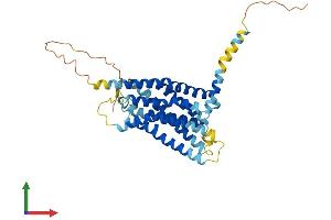 AlphaFold protein structure predicition of Mouse Recombinant Gper1 Protein, UniprotID Q8BMP4