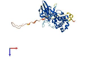 AlphaFold protein structure predicition of Human Recombinant PTPN7 Protein, UniprotID P35236