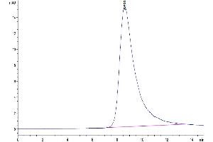 Size-exclusion chromatography-High Pressure Liquid Chromatography (SEC-HPLC) image for Interleukin 13 (IL13) (AA 21-132) protein (His-Avi Tag) (ABIN7274900)