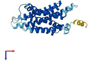 AlphaFold protein structure predicition of Mouse Recombinant Aph1b Protein, UniprotID Q8C7N7
