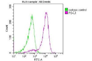 Overlay histogram showing 293 cells stained with ABIN7164674 (red line) at 1:150.