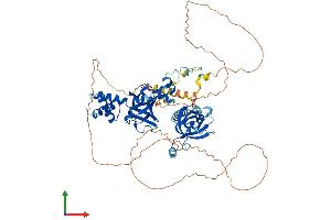 AlphaFold protein structure predicition of Human Recombinant RMI1 Protein, UniprotID Q9H9A7
