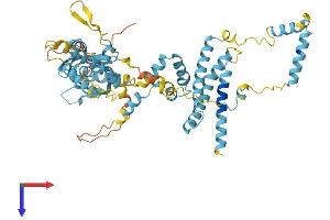 AlphaFold protein structure predicition of Mouse Recombinant Gtf2h1 Protein, UniprotID Q9DBA9