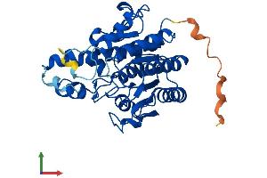 AlphaFold protein structure predicition of Human Recombinant HDAC11 Protein, UniprotID Q96DB2