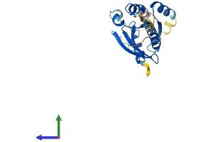 AlphaFold protein structure predicition of Human Recombinant RAB38 Protein, UniprotID P57729