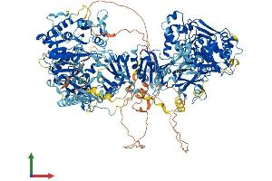 AlphaFold protein structure predicition of Mouse Recombinant Dip2a Protein, UniprotID Q8BWT5
