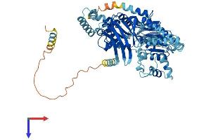 AlphaFold protein structure predicition of Human Recombinant ABCF2 Protein, UniprotID Q9UG63