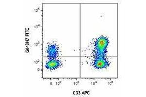 Flow Cytometry (FACS) image for anti-Chemokine (C-C Motif) Receptor 7 (CCR7) antibody (FITC) (ABIN2661555) (CCR7 anticorps  (FITC))