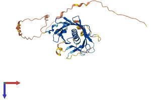 AlphaFold protein structure predicition of Mouse Recombinant Plscr1 Protein, UniprotID Q9JJ00
