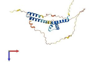 AlphaFold protein structure predicition of Human Recombinant HELT Protein, UniprotID A6NFD8