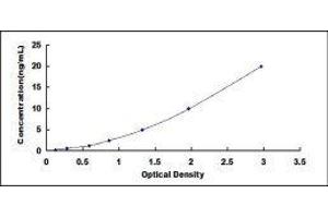 Asporin (ASPN) ELISA Kit