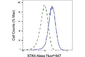 Validation of STK4 knockdown using flow cytometry. (Recombinant STK4 anticorps)
