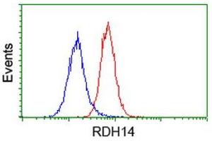 Image no. 4 for anti-Retinol Dehydrogenase 14 (All-Trans/9-Cis/11-Cis) (RDH14) antibody (ABIN1500656)