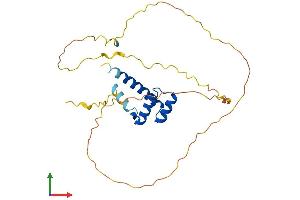 AlphaFold protein structure predicition of Mouse Recombinant Hoxc9 Protein, UniprotID P09633