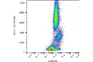 Flow cytometry analysis (surface staining) of human peripheral blood cells with anti-CD55 (MEM-118) PE.