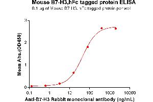 ELISA plate pre-coated by 1 μg/mL (100 μL/well) Mouse B7-H3 Protein, hFc Tag  (ABIN7092853, ABIN7272472 and ABIN7272473) can bind anti-B7-H3 monoclonal antibody ABIN6964053, ABIN7272678 and ABIN7289667 in a linear range of 3.