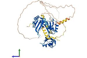 AlphaFold protein structure predicition of Human Recombinant CELF3 Protein, UniprotID Q5SZQ8