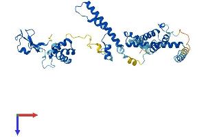 AlphaFold protein structure predicition of Human Recombinant TADA2B Protein, UniprotID Q86TJ2