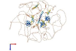AlphaFold protein structure predicition of Human Recombinant SORBS1 Protein, UniprotID Q9BX66