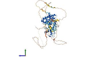 AlphaFold protein structure predicition of Mouse Recombinant Nr1d1 Protein, UniprotID Q3UV55