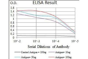 Black line: Control Antigen (100 ng), Purple line: Antigen(10 ng), Blue line: Antigen (50 ng), Red line: Antigen (100 ng), (MRPL42 anticorps  (AA 142-203))