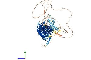 AlphaFold protein structure predicition of Mouse Recombinant Terb1 Protein, UniprotID Q8C0V1