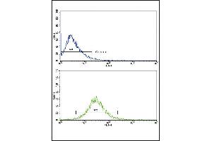 Flow cytometric analysis of HepG2 cells using MMP3 Antibody (bottom histogram) compared to a negative control cell (top histogram). (MMP3 anticorps  (AA 298-327))