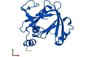 AlphaFold protein structure predicition of Mouse Recombinant Adi1 Protein, UniprotID Q99JT9