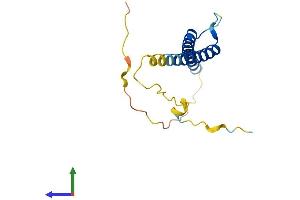 AlphaFold protein structure predicition of Mouse Recombinant Atoh7 Protein, UniprotID Q9Z2E5