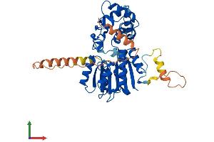 AlphaFold protein structure predicition of Human Recombinant METTL15 Protein, UniprotID A6NJ78