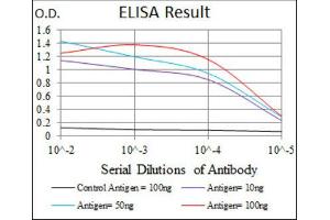 ELISA image for anti-Integrin beta 1 (ITGB1) antibody (ABIN1844059) (ITGB1 anticorps)