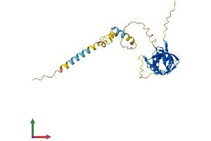 AlphaFold protein structure predicition of Mouse Recombinant Nrip3 Protein, UniprotID Q9JJR9
